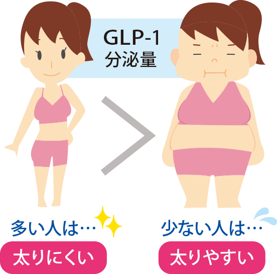 GLP-1分泌量が多い人は太りにくい、少ない人は太りやすい